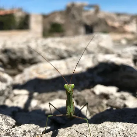 Holiday home El Colirrojo - Rublacedo *