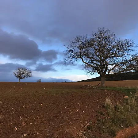 El Colirrojo - Rublacedo Holiday home